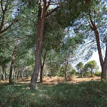 Cozy Holiday Apartment In Larnaca Near Foinikoudes Екстер'єр фото